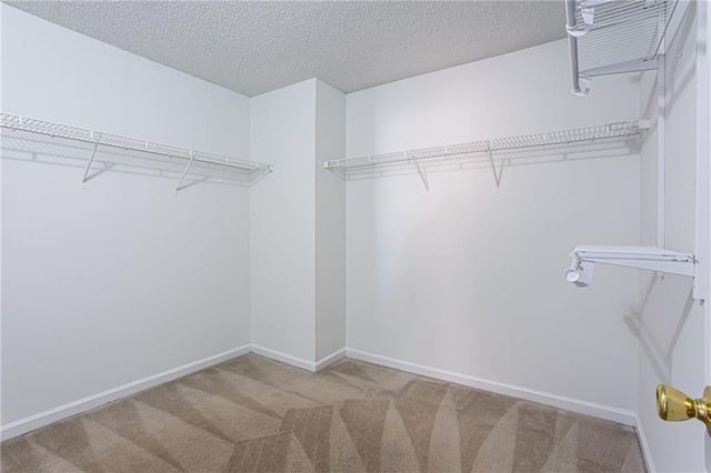 1016 Field View Drive, Mcdonough, GA 30253