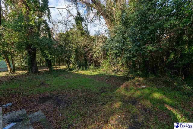 121 Coker St., Darlington, SC 29532