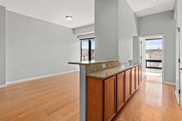 500 E Grant Street 205, Minneapolis, MN 55404