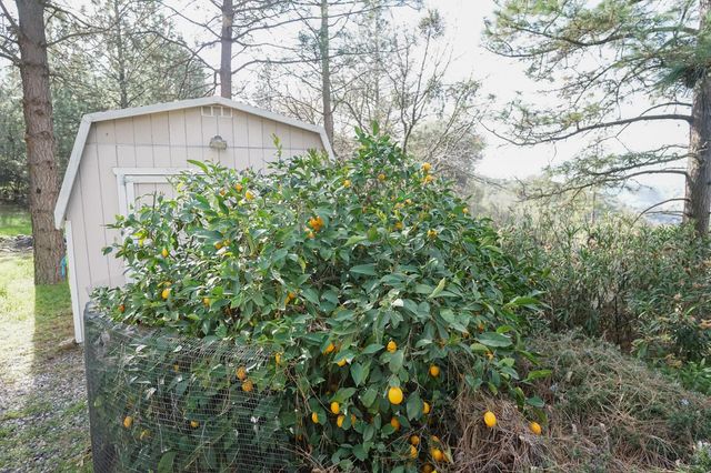 269 Montgomery Dr, Mokelumne Hill, CA 95245