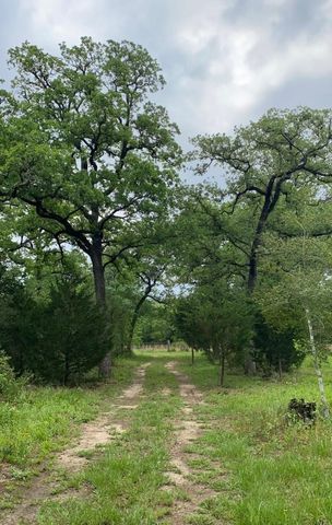 1803 Doe Run Drive, Cistern, TX 78959