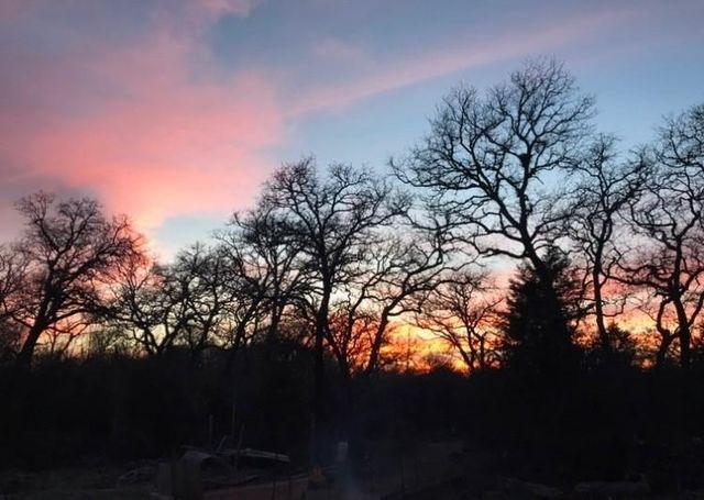 1803 Doe Run Drive, Cistern, TX 78959