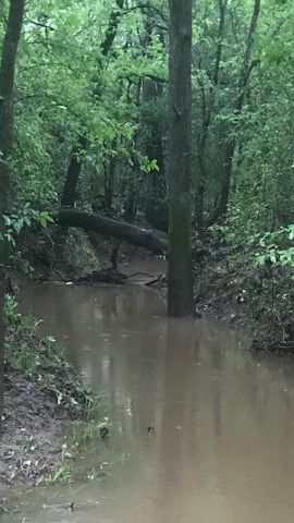 1803 Doe Run Drive, Cistern, TX 78959