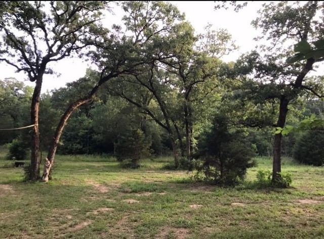 1803 Doe Run Drive, Cistern, TX 78959