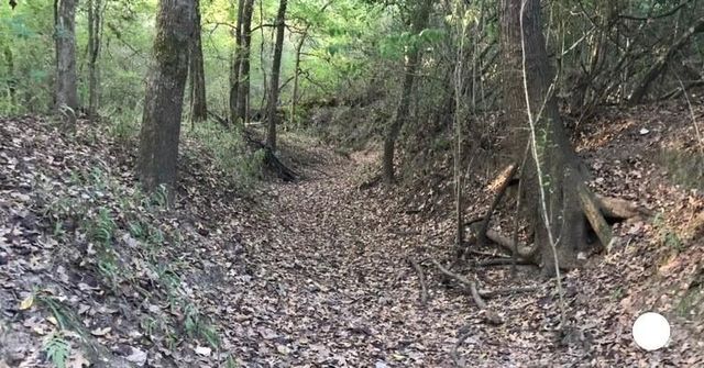 1803 Doe Run Drive, Cistern, TX 78959