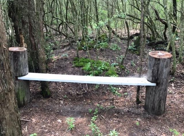 1803 Doe Run Drive, Cistern, TX 78959