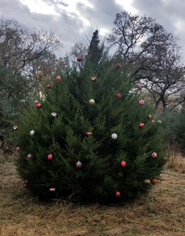 1803 Doe Run Drive, Cistern, TX 78959