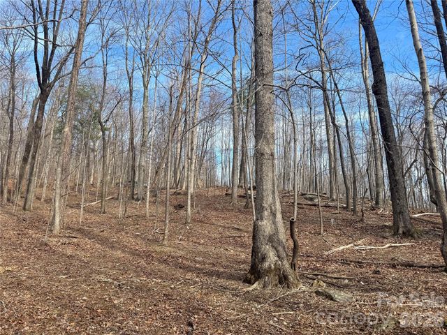 99999 Chesterfield Drive 176, Mill Spring, NC 28756