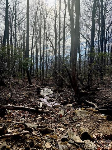 99999 Chesterfield Drive 176, Mill Spring, NC 28756