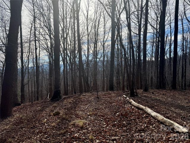 99999 Chesterfield Drive 176, Mill Spring, NC 28756