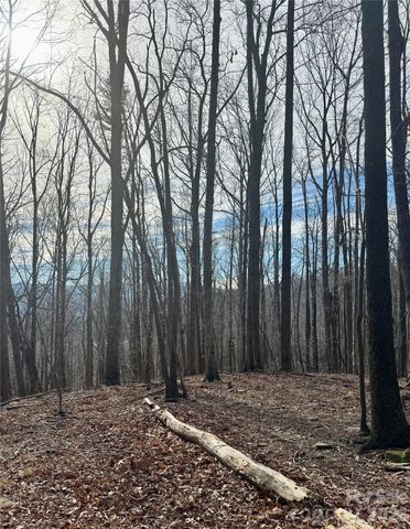 99999 Chesterfield Drive 176, Mill Spring, NC 28756