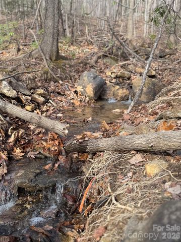 99999 Chesterfield Drive 176, Mill Spring, NC 28756