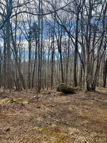 99999 Chesterfield Drive 176, Mill Spring, NC 28756