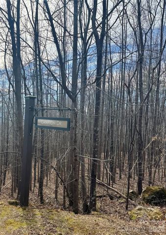 99999 Chesterfield Drive 176, Mill Spring, NC 28756