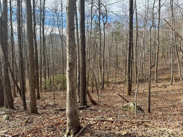 99999 Chesterfield Drive 176, Mill Spring, NC 28756