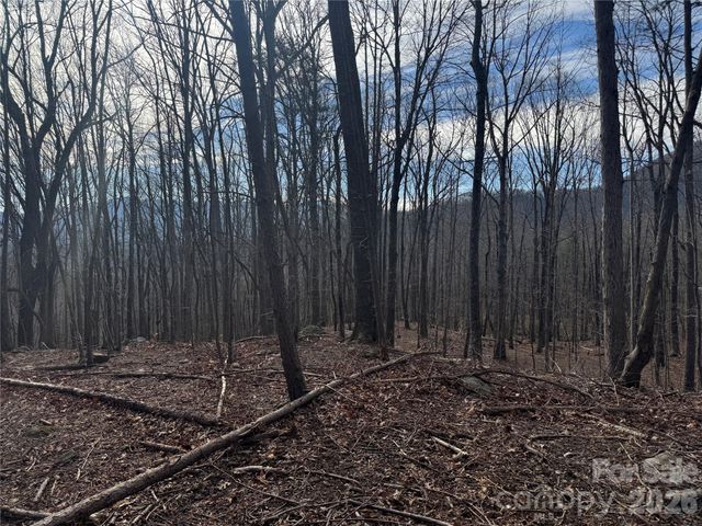 99999 Chesterfield Drive 176, Mill Spring, NC 28756