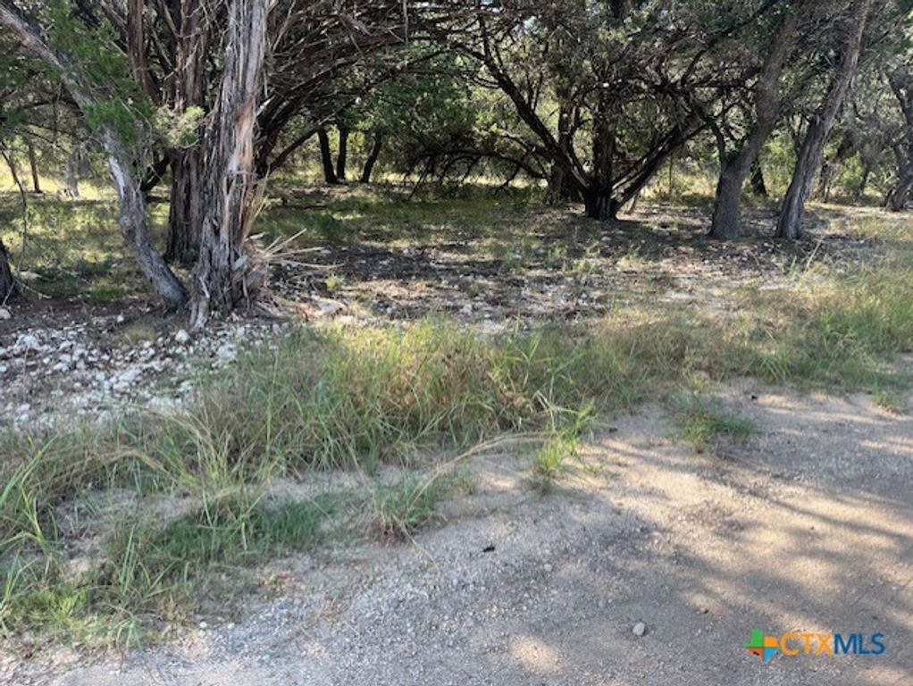 Image 10 of property listing at 0 Lakepark Drive, Pipe Creek, TX 78063
