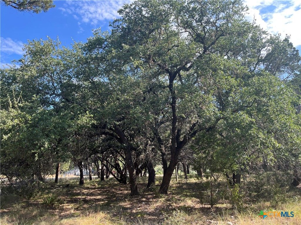 Image 12 of property listing at 0 Lakepark Drive, Pipe Creek, TX 78063