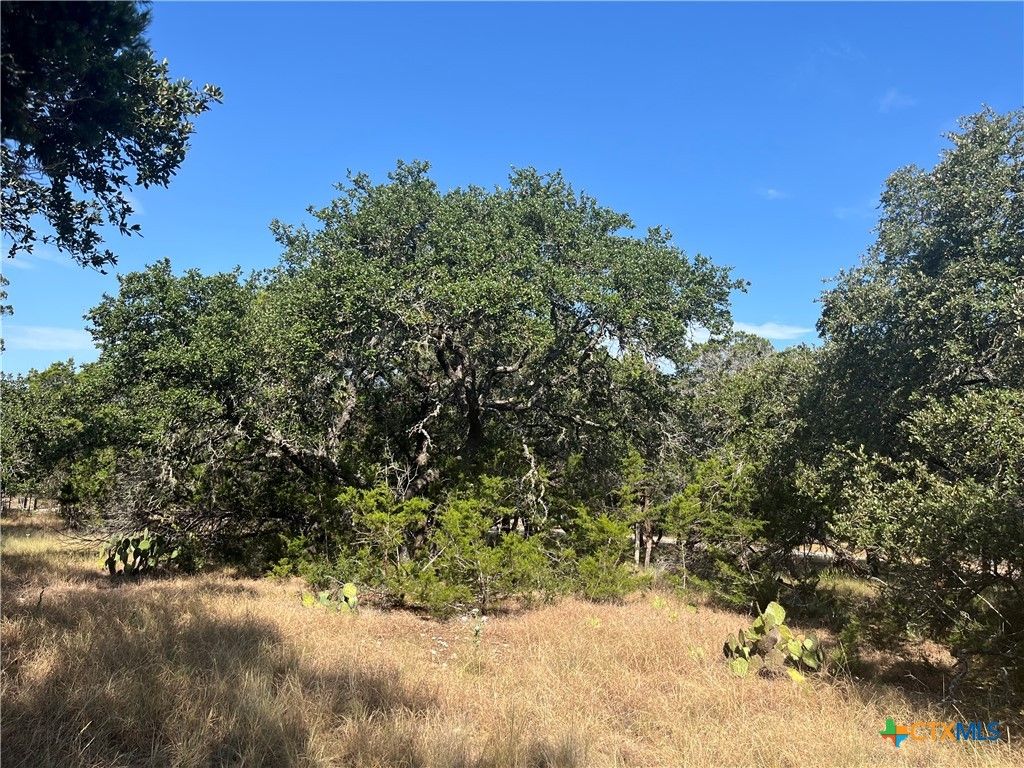 Image 14 of property listing at 0 Lakepark Drive, Pipe Creek, TX 78063