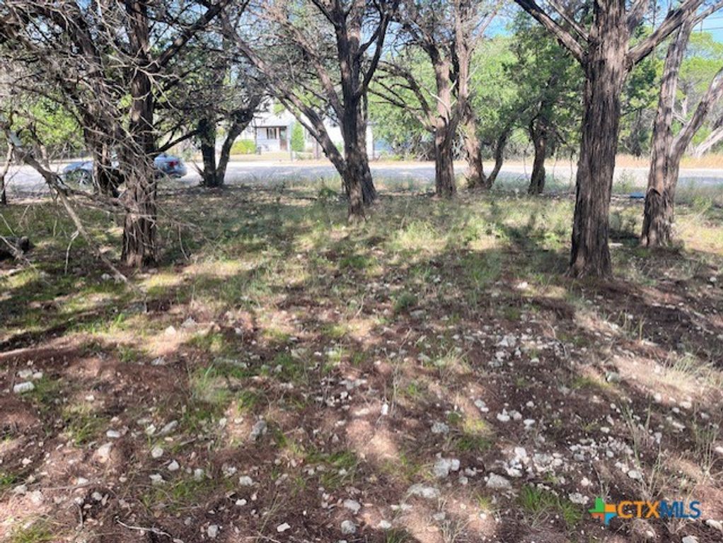 Image 2 of property listing at 0 Lakepark Drive, Pipe Creek, TX 78063