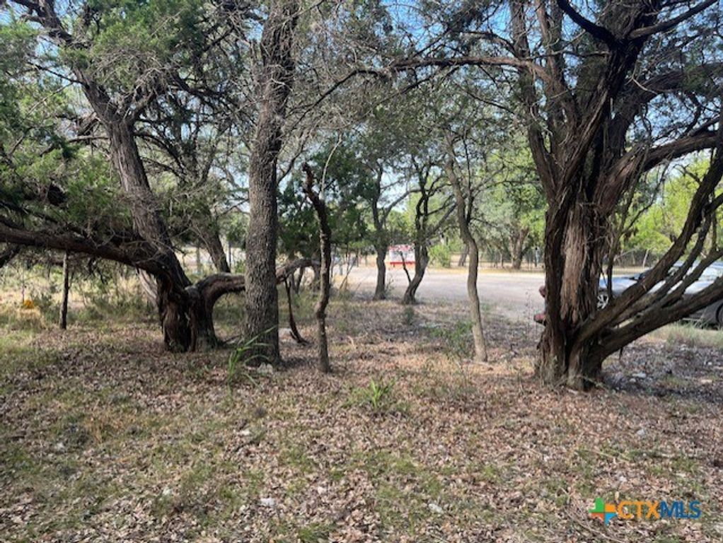 Image 3 of property listing at 0 Lakepark Drive, Pipe Creek, TX 78063