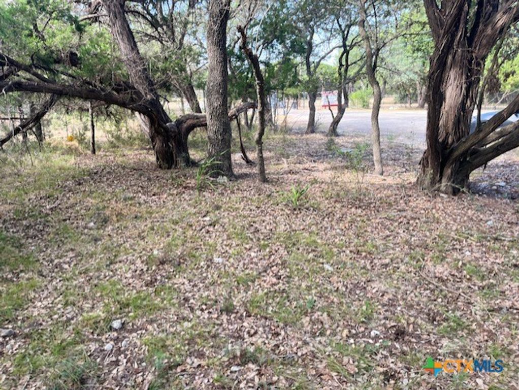 Image 4 of property listing at 0 Lakepark Drive, Pipe Creek, TX 78063