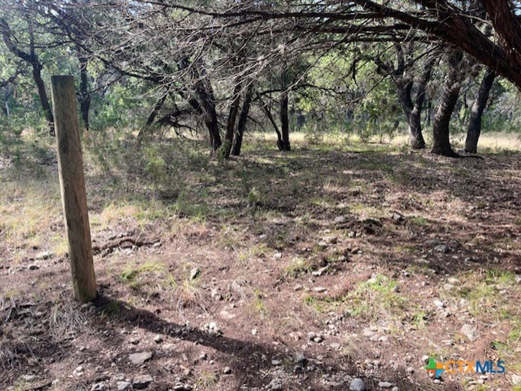 Image 5 of property listing at 0 Lakepark Drive, Pipe Creek, TX 78063