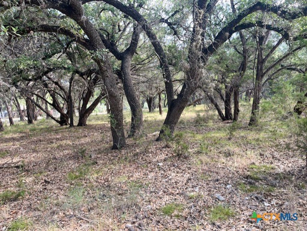 Image 6 of property listing at 0 Lakepark Drive, Pipe Creek, TX 78063