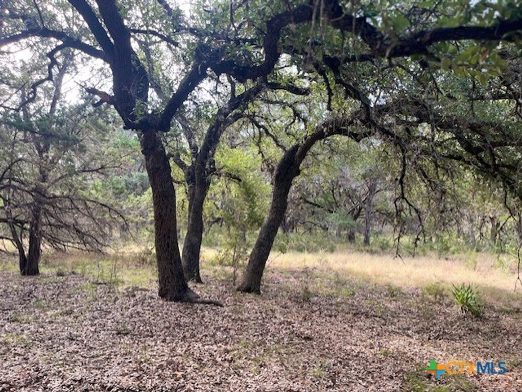 Image 7 of property listing at 0 Lakepark Drive, Pipe Creek, TX 78063