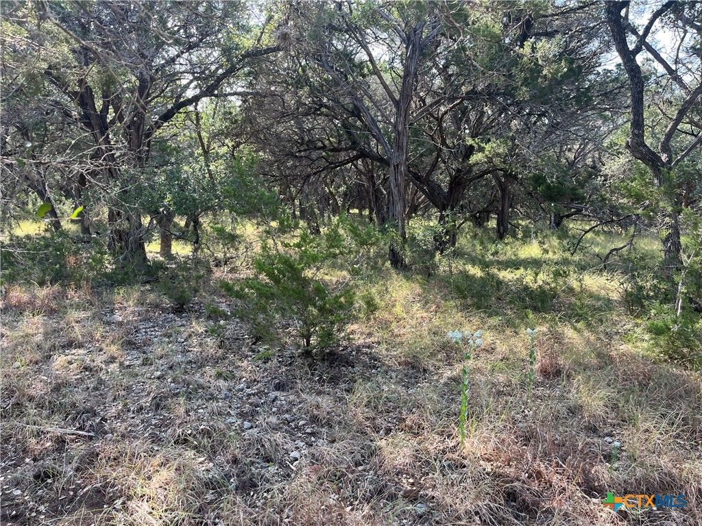 Image 8 of property listing at 0 Lakepark Drive, Pipe Creek, TX 78063