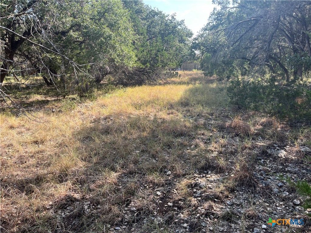 Image 9 of property listing at 0 Lakepark Drive, Pipe Creek, TX 78063