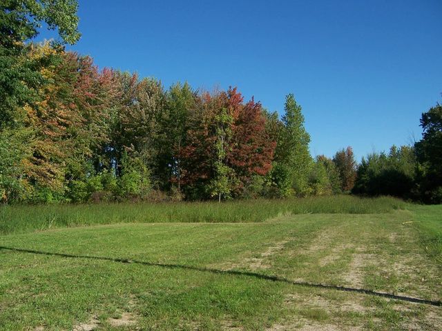 11172 Dunn Road, Riley Twp, MI 48091