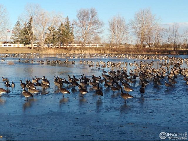 3340 Longview Boulevard, Longmont, CO 80504