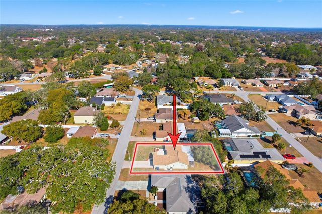 1196 MACFARLANE AVENUE, Spring Hill, FL 34608