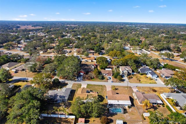 1196 MACFARLANE AVENUE, Spring Hill, FL 34608