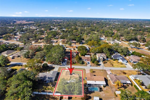 1196 MACFARLANE AVENUE, Spring Hill, FL 34608