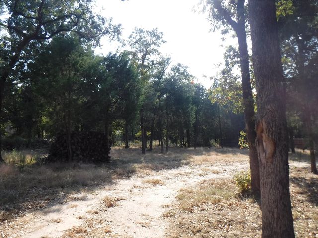 133 Crepe Myrtle PKWY, Elgin, TX 78621