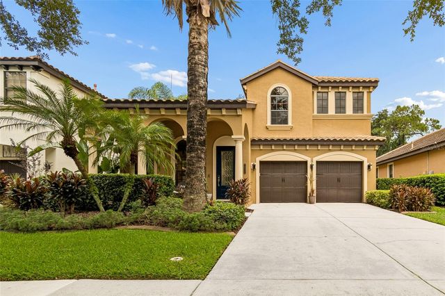 20338 CHESTNUT GROVE DRIVE, Tampa, FL 33647