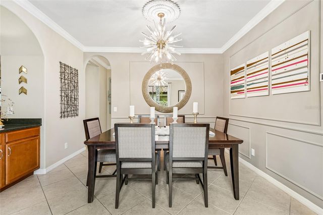 20338 CHESTNUT GROVE DRIVE, Tampa, FL 33647