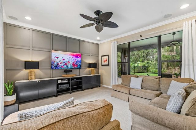 20338 CHESTNUT GROVE DRIVE, Tampa, FL 33647