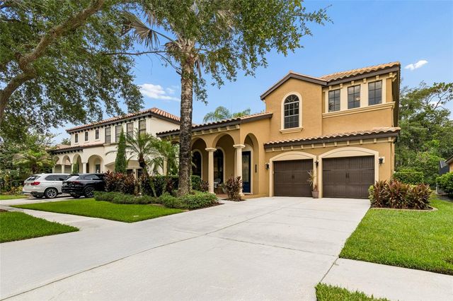 20338 CHESTNUT GROVE DRIVE, Tampa, FL 33647