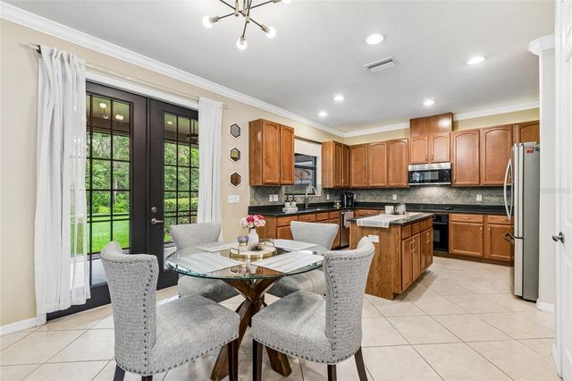 20338 CHESTNUT GROVE DRIVE, Tampa, FL 33647