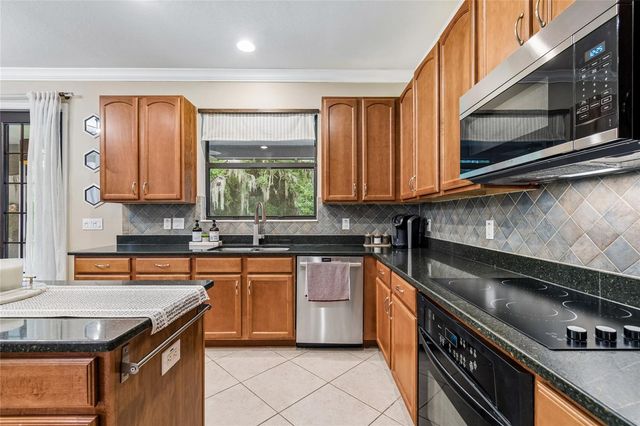 20338 CHESTNUT GROVE DRIVE, Tampa, FL 33647