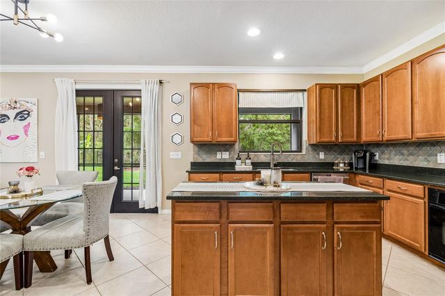 20338 CHESTNUT GROVE DRIVE, Tampa, FL 33647