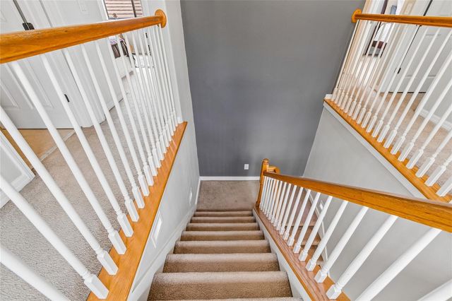 20338 CHESTNUT GROVE DRIVE, Tampa, FL 33647