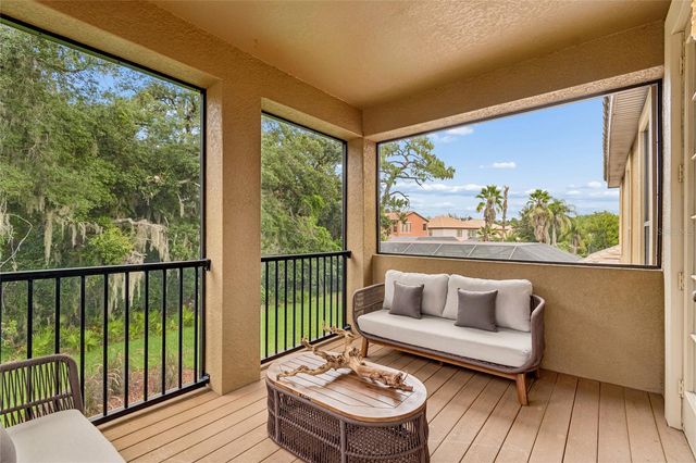 20338 CHESTNUT GROVE DRIVE, Tampa, FL 33647