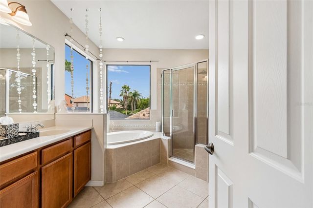 20338 CHESTNUT GROVE DRIVE, Tampa, FL 33647