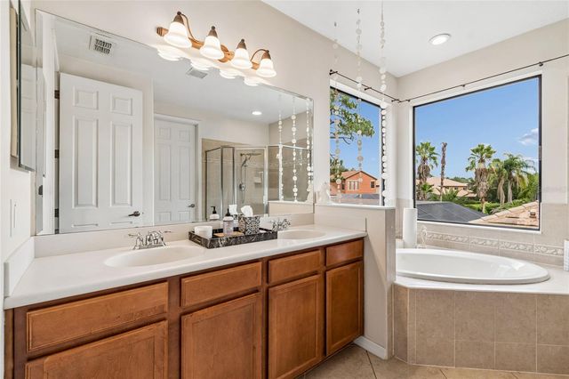 20338 CHESTNUT GROVE DRIVE, Tampa, FL 33647