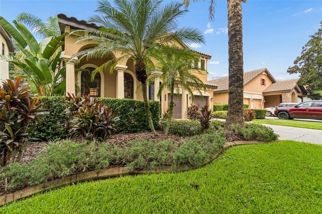 20338 CHESTNUT GROVE DRIVE, Tampa, FL 33647