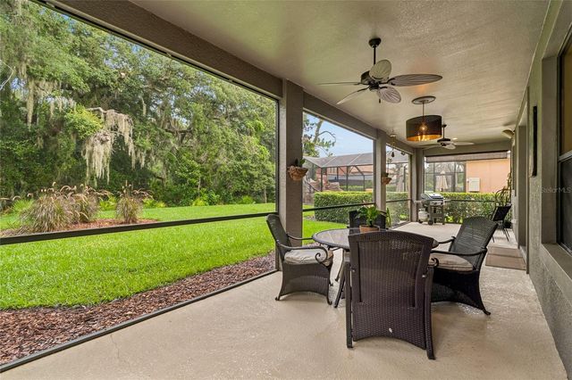 20338 CHESTNUT GROVE DRIVE, Tampa, FL 33647
